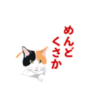 博多弁を喋る三毛猫（個別スタンプ：13）