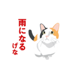 博多弁を喋る三毛猫（個別スタンプ：17）