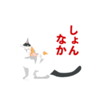 博多弁を喋る三毛猫（個別スタンプ：19）