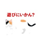 博多弁を喋る三毛猫（個別スタンプ：20）