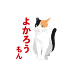 博多弁を喋る三毛猫（個別スタンプ：21）