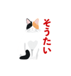 博多弁を喋る三毛猫（個別スタンプ：29）