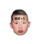 ワオだらけ（個別スタンプ：5）