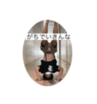 買いたいよね〜（個別スタンプ：7）