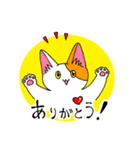 ねこなので（個別スタンプ：2）