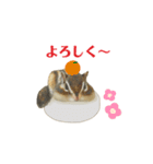 ふゆがきた 2021（個別スタンプ：8）
