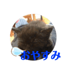 守田そら（個別スタンプ：1）