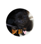 守田そら（個別スタンプ：5）
