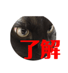 守田そら（個別スタンプ：6）