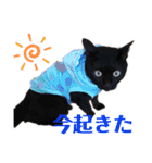 守田そら（個別スタンプ：7）