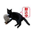 守田そら（個別スタンプ：9）