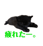 守田そら（個別スタンプ：10）