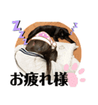 守田そら（個別スタンプ：11）
