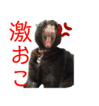 守田そら（個別スタンプ：17）