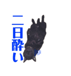 守田そら（個別スタンプ：24）