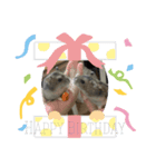 むぎとあんこ②（個別スタンプ：4）