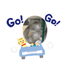 むぎとあんこ②（個別スタンプ：5）
