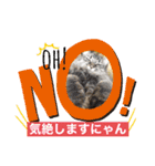 にゃんかイイ感じ〜（個別スタンプ：3）