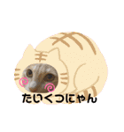 にゃんかイイ感じ〜（個別スタンプ：6）