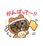 にゃんかイイ感じ〜（個別スタンプ：8）