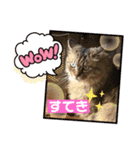 にゃんかイイ感じ〜（個別スタンプ：12）