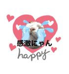 にゃんかイイ感じ〜（個別スタンプ：16）