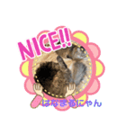 にゃんかイイ感じ〜（個別スタンプ：19）