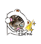 にゃんかイイ感じ〜（個別スタンプ：21）