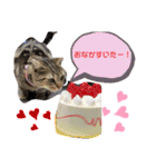 バズ＆メイ Part1（個別スタンプ：1）