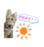 バズ＆メイ Part1（個別スタンプ：3）