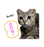 バズ＆メイ Part1（個別スタンプ：7）