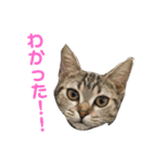バズ＆メイ Part1（個別スタンプ：10）