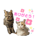 バズ＆メイ Part1（個別スタンプ：11）