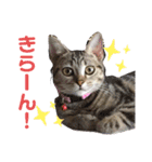 バズ＆メイ Part1（個別スタンプ：13）