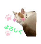 バズ＆メイ Part1（個別スタンプ：15）