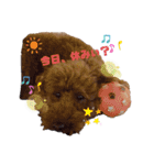 我が家の癒やしイッヌ（個別スタンプ：4）