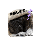 フレブル こんぶ2（個別スタンプ：22）