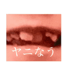 滋賀とあんこ（個別スタンプ：12）