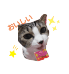 にゃんこのララスタンプ2（個別スタンプ：4）