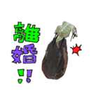 愉快スンギ卍（個別スタンプ：22）