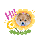 チャロすたんぷ2（個別スタンプ：11）