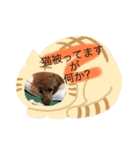 ときどき博多弁ごんちゃんの一生（個別スタンプ：4）