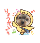 ヨーキーのモコちゃん（個別スタンプ：15）
