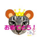 ツカ様すたんぷ。（個別スタンプ：13）