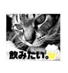 ツカ様すたんぷ。（個別スタンプ：17）