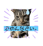 ツカ様すたんぷ。（個別スタンプ：19）