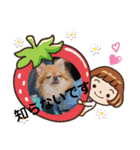武居familiar12（個別スタンプ：11）