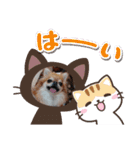 武居familiar12（個別スタンプ：13）