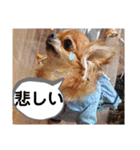 武居familiar12（個別スタンプ：15）