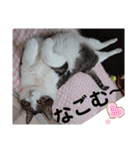 武居familiar12（個別スタンプ：20）